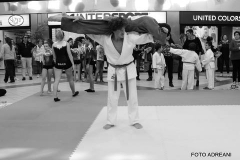 12115841_1029547097101706_2556358241804392165_n